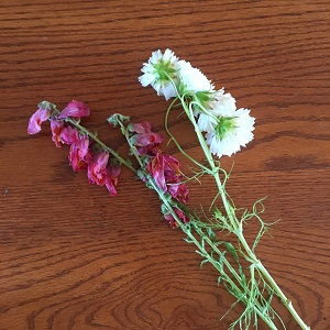 Completely remove spent stems