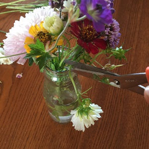 Cut off spent flowers on a stem