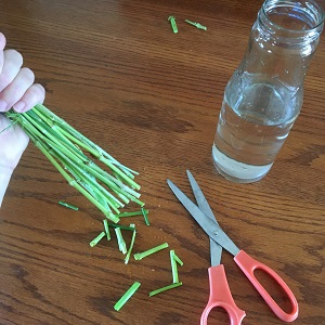 Cut off bottom of stems