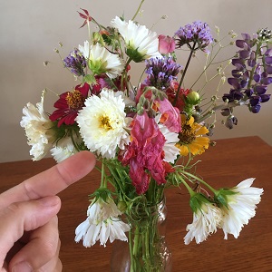 This flower still looks good!