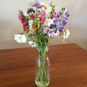 Low-murky water needs to be replaced