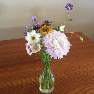 A smaller vase fits the refreshed bouquet better